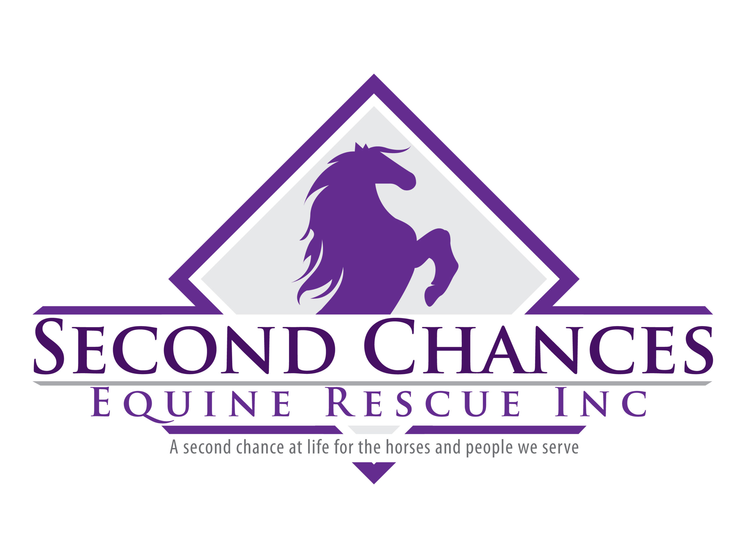 Second Chances Equine Rescue