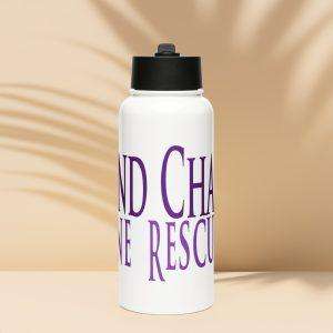 Stainless steel water bottle with a straw lid