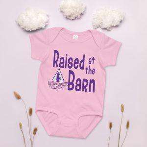 baby-jersey-bodysuit-pink-front-6a96fa18d475e.jpg Baby jersey bodysuit