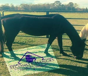 Dunny's Double Smoke